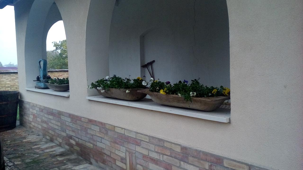 Resort La Tulipe Noire Ceglédbercel Esterno foto
