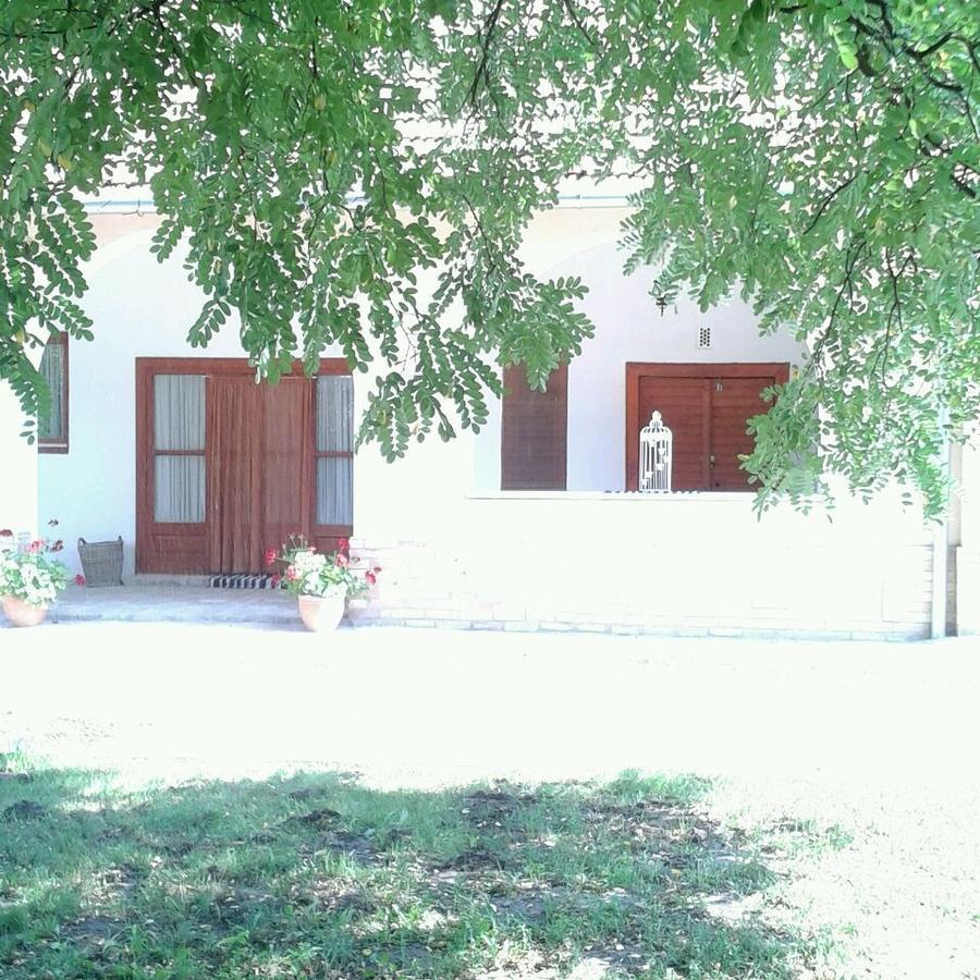 Resort La Tulipe Noire Ceglédbercel Esterno foto